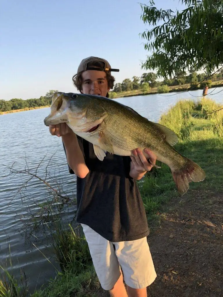 man holding big fish near a lake with green grass and tress